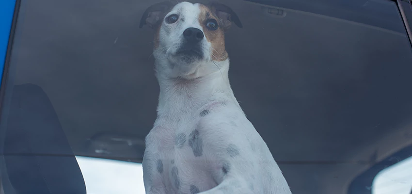 Car Lockout Solutions in Santa Clara, California